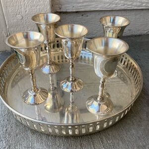 Elegant Silver Goblet Set